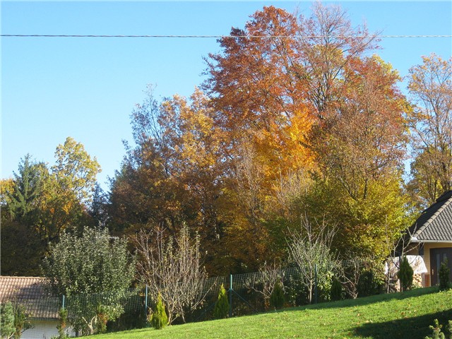 Jesen2010